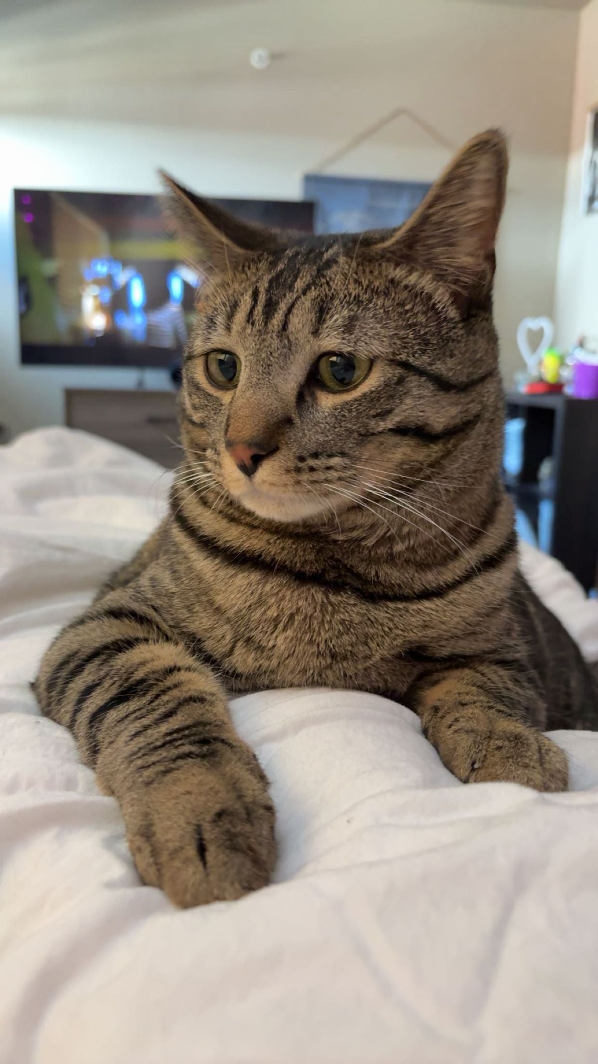Lisa K.